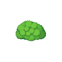 Moss Tuft