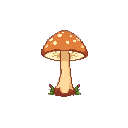 Mushroom